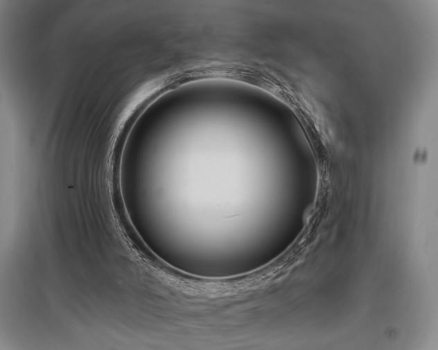 X0000097610006200802291313