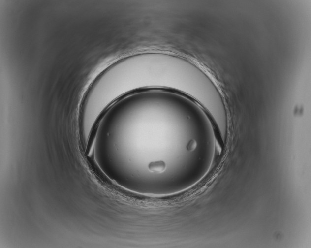 X0000097610008200802291313