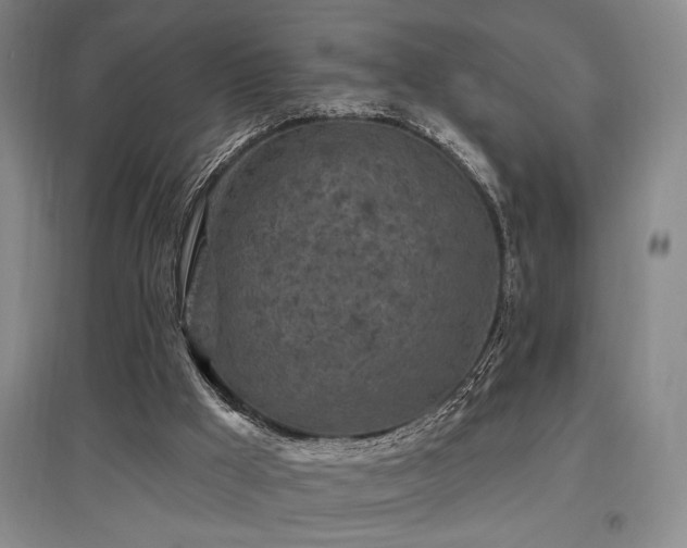 X0000097610009200802291313