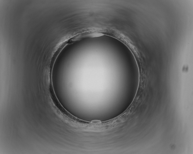 X0000097610011200802291313