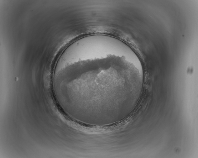 X0000097610012200802291313