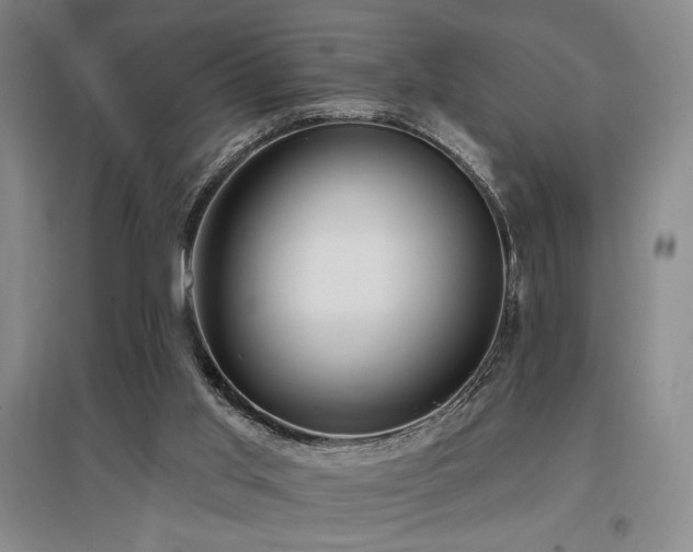 X0000097610013200802291313