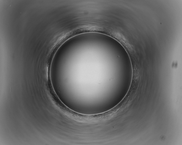 X0000097610014200802291313