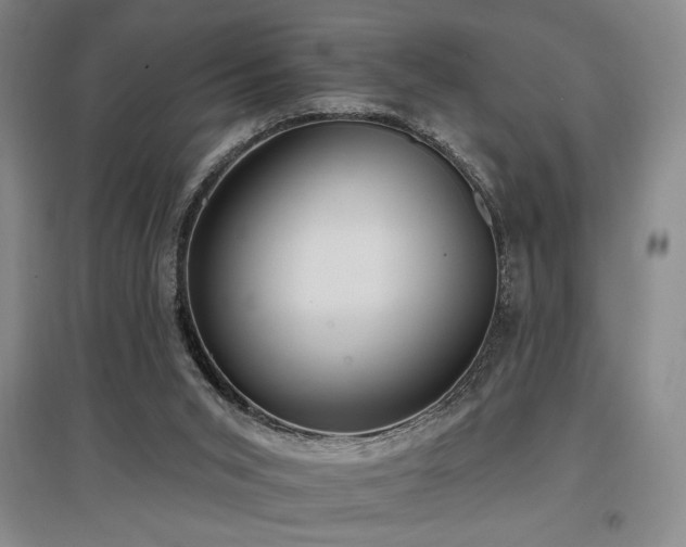 X0000097610015200802291313