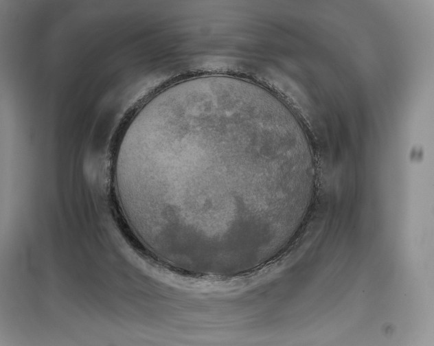X0000097610016200802291313