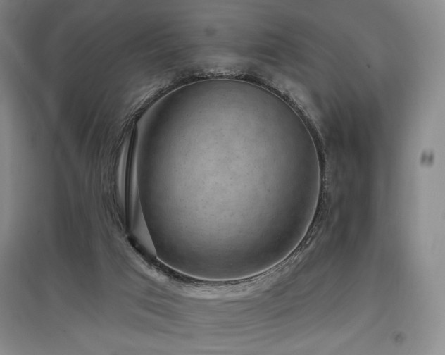 X0000097610017200802291312