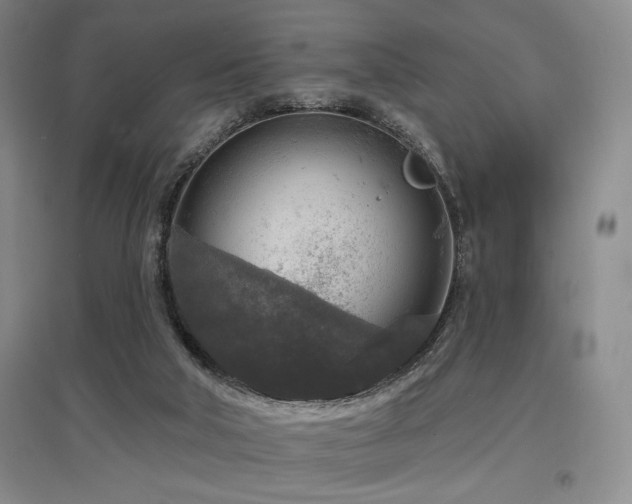 X0000097610018200802291312