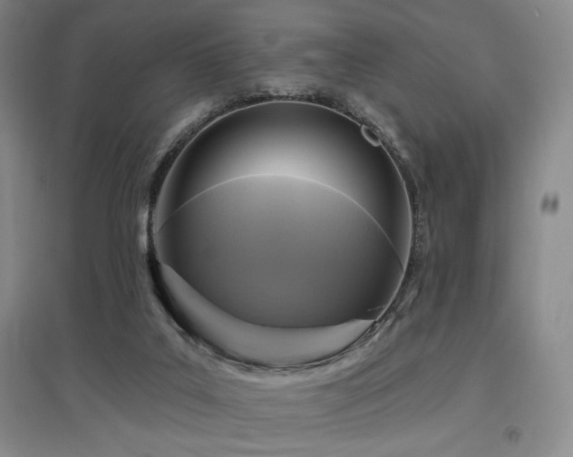 X0000097610019200802291312
