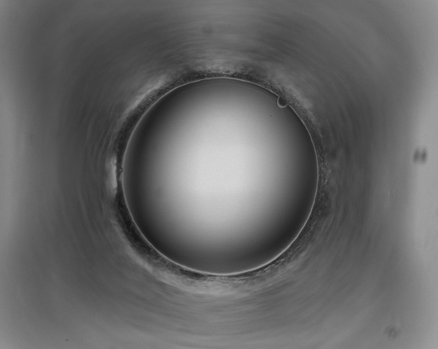 X0000097610020200802291312
