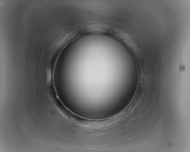 X0000097610021200802291312