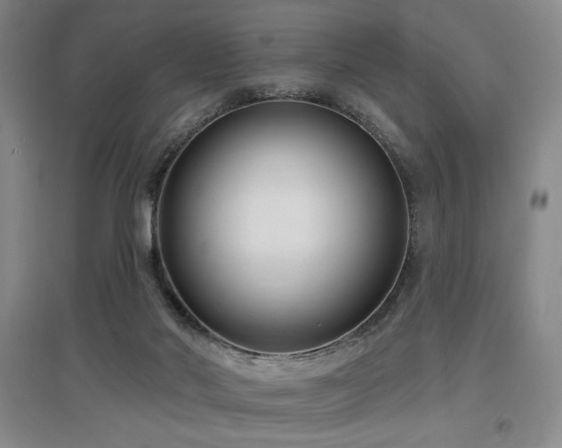 X0000097610022200802291312