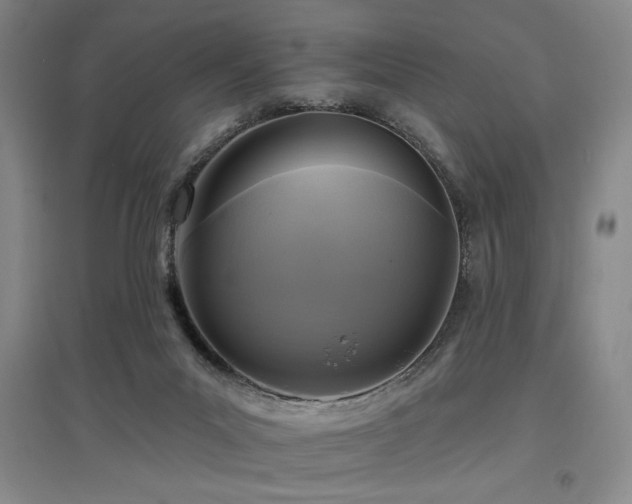 X0000097610023200802291312