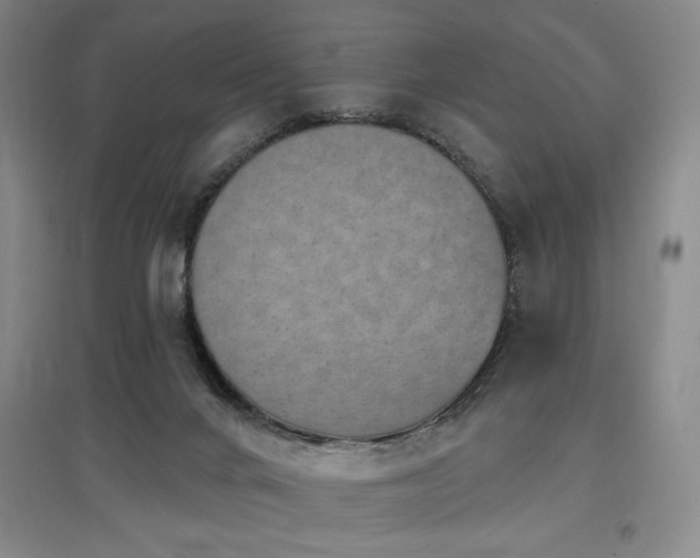 X0000097610024200802291312