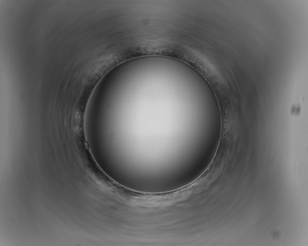 X0000097610025200802291312