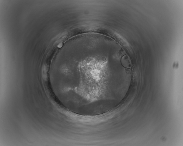 X0000097610026200802291312