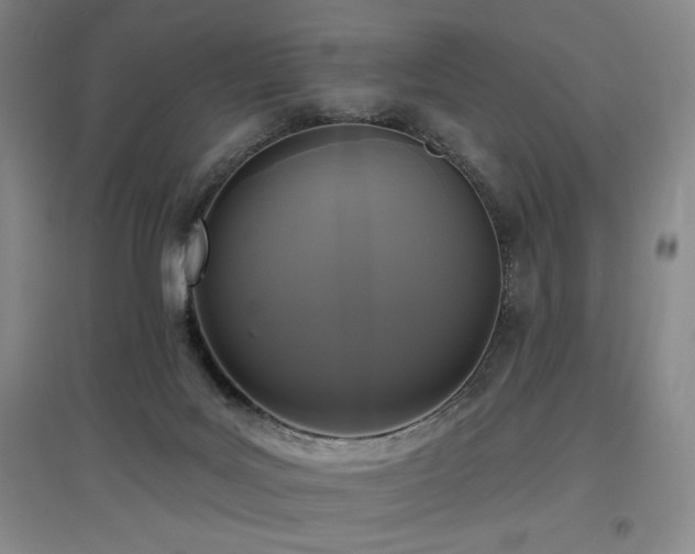 X0000097610027200802291312