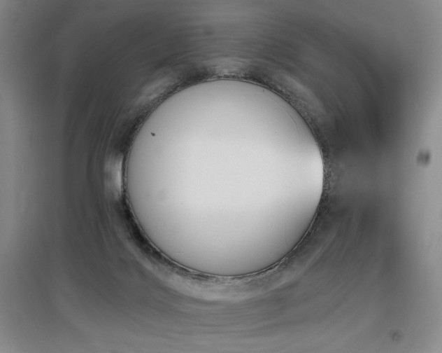 X0000097610028200802291312