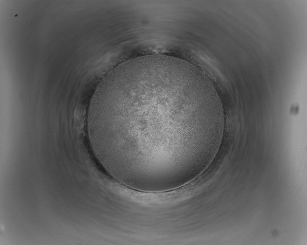 X0000097610030200802291312