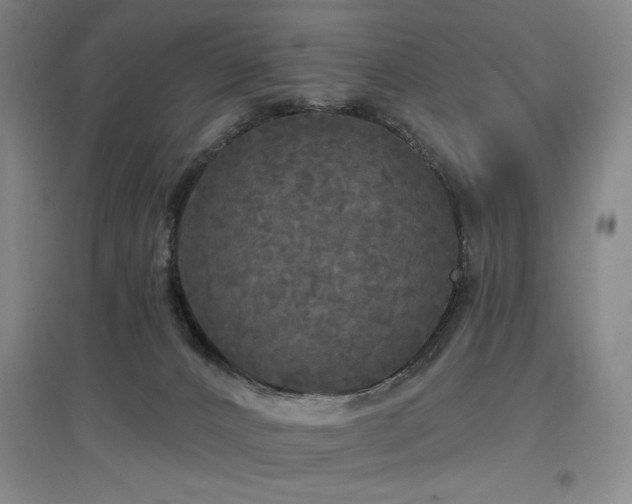 X0000097610032200802291312
