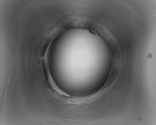 X0000097610033200802291312