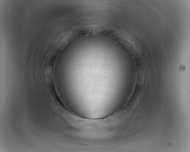 X0000097610034200802291312