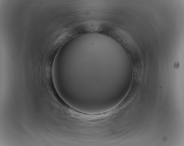 X0000097610035200802291312