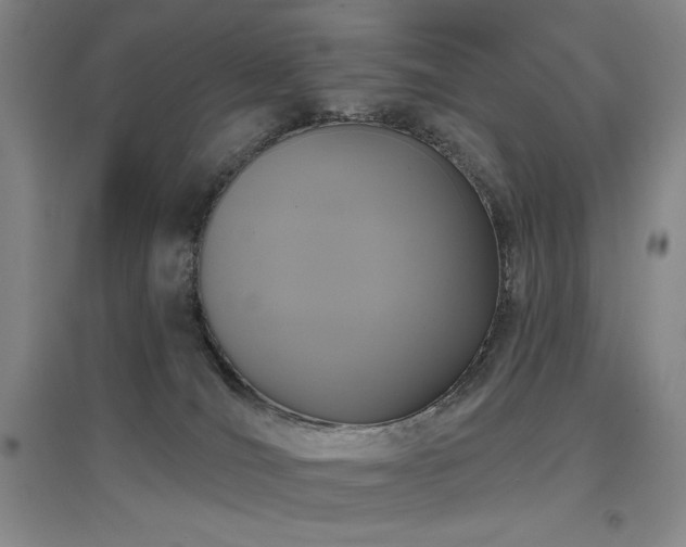 X0000097610036200802291312