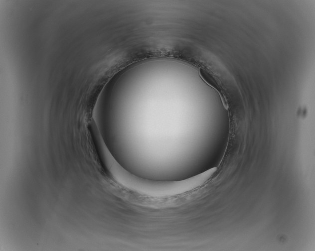 X0000097610037200802291312
