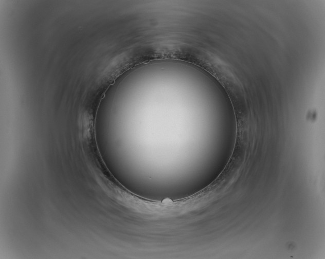 X0000097610038200802291312