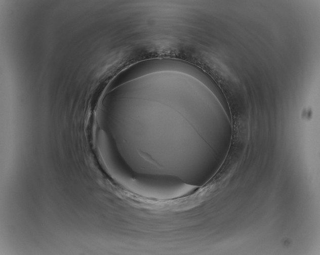 X0000097610039200802291312
