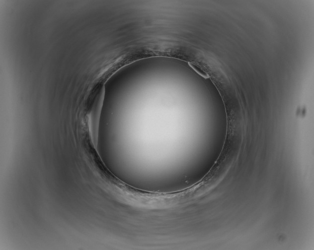 X0000097610040200802291312