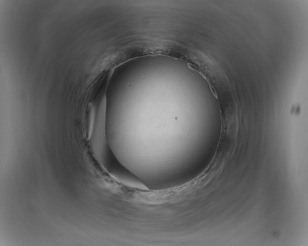 X0000097610041200802291312
