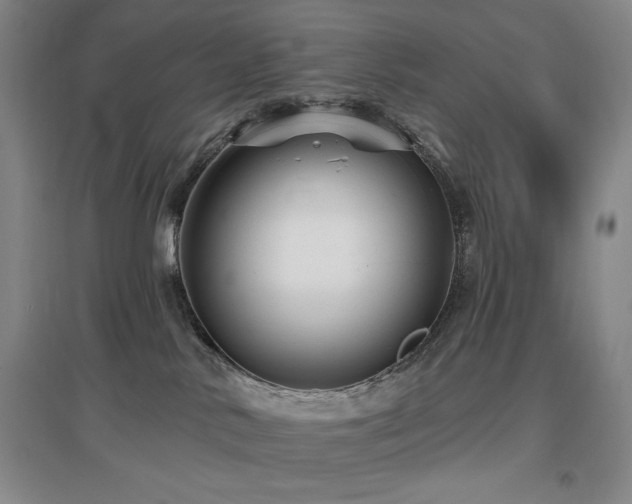 X0000097610042200802291312