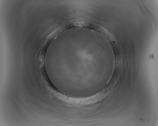 X0000097610043200802291312