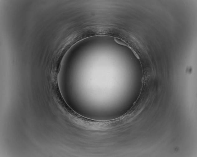 X0000097610044200802291312