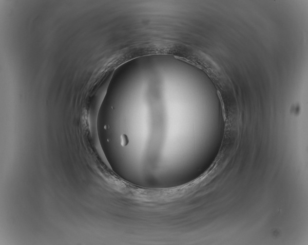 X0000097610045200802291312