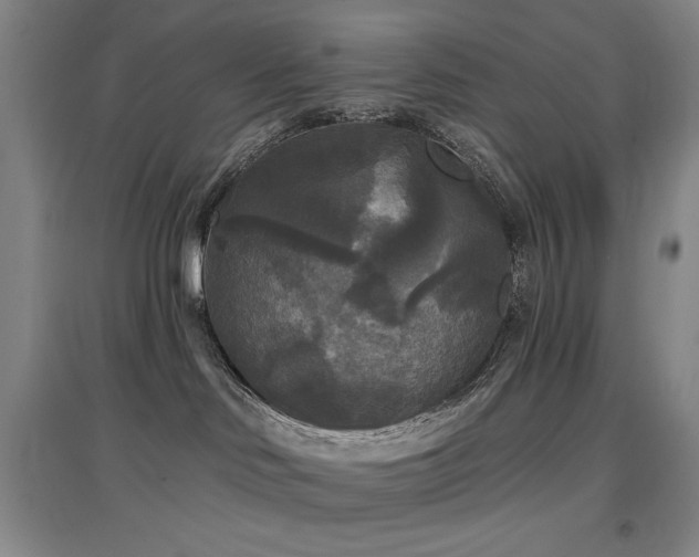 X0000097610046200802291312