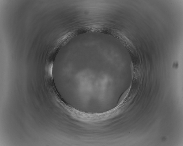 X0000097610047200802291312