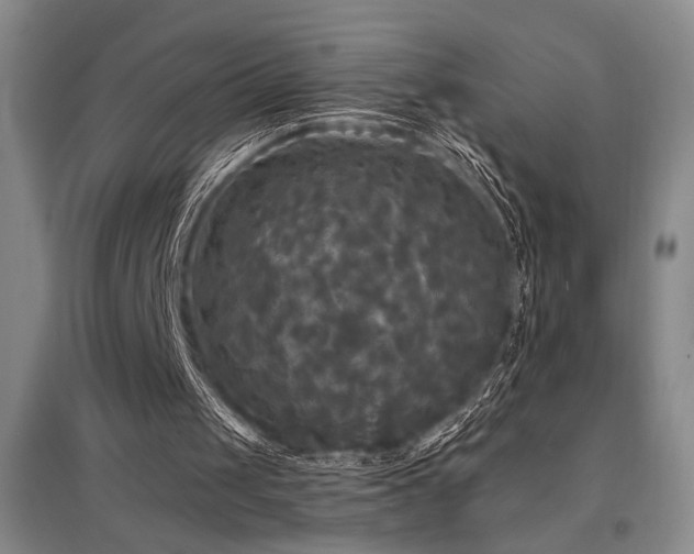X0000097610049200802291311