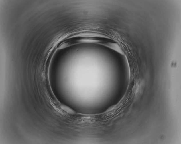 X0000097610050200802291311