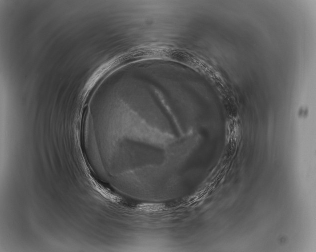 X0000097610051200802291311