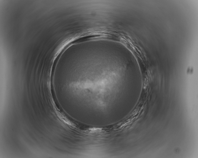 X0000097610052200802291311