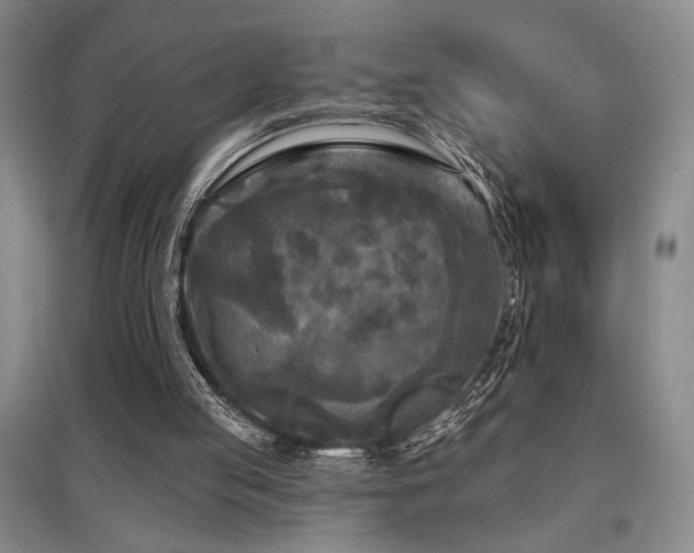 X0000097610053200802291311