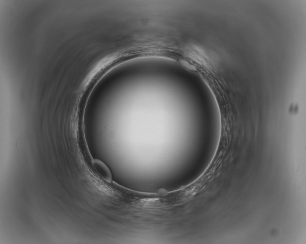 X0000097610054200802291311