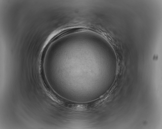 X0000097610056200802291311