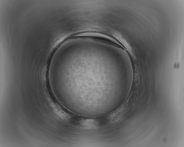 X0000097610058200802291311