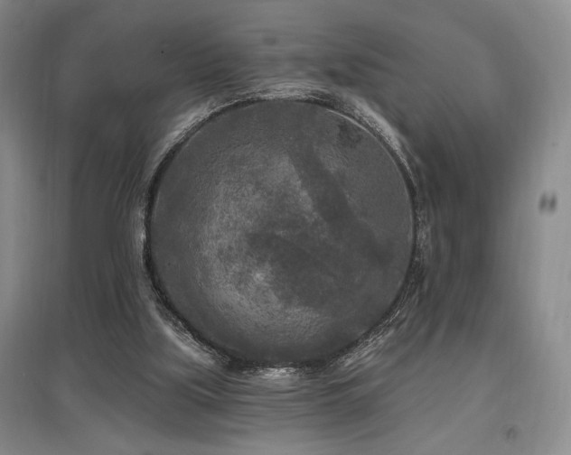 X0000097610059200802291311