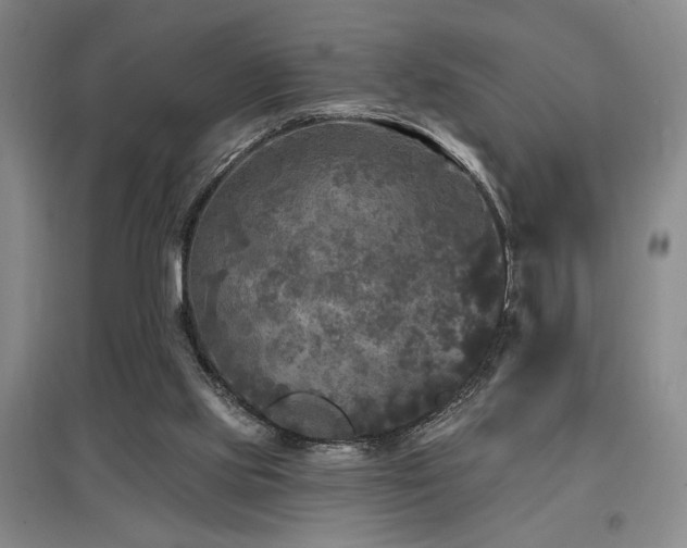 X0000097610061200802291312