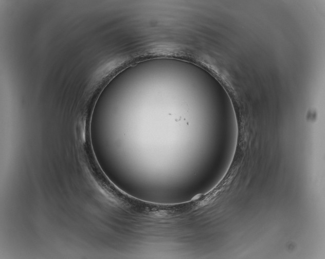 X0000097610062200802291312
