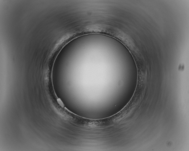 X0000097610064200802291312
